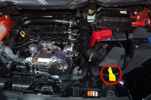 FORD ECOSPORT MK2 II 2012-2022 UCHWYT PODPORY MASKI 1763358