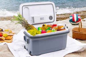 LODÓWKA TURYSTYCZNA IK-21-48L 48L 12V Z FUNKCJĄ PODGRZEWANIA 50-65°C + GRATIS