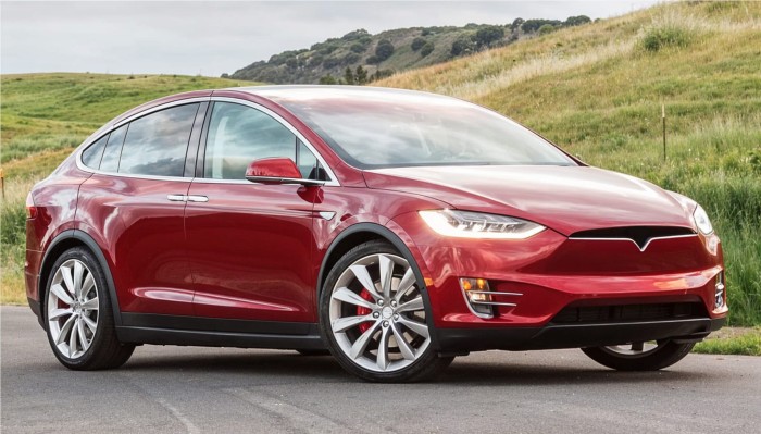 TESLA MODEL X 2015+ CHLAPACZE