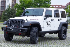 JEEP WRANGLER JK 2007-2018 LAMPY PRZECIWMGIELNE DO ZDERZAKA CALIFORNIA