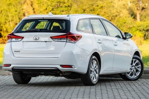 auris.jpg
